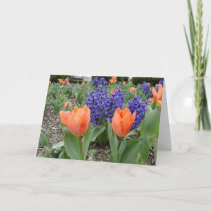 Thinking of You, Tulips & Hyacinths Card