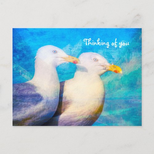 Thinking of You Two Seagulls Blue Sky Postcard