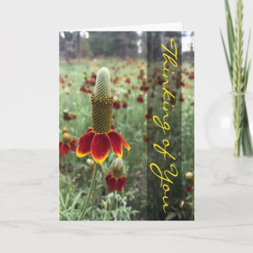 Thinking of You Upright Prairie Coneflower Photo Card