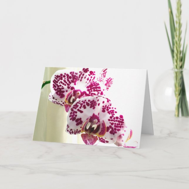 Thinking of You Variegated Purple Orchid Photo Card (Front)