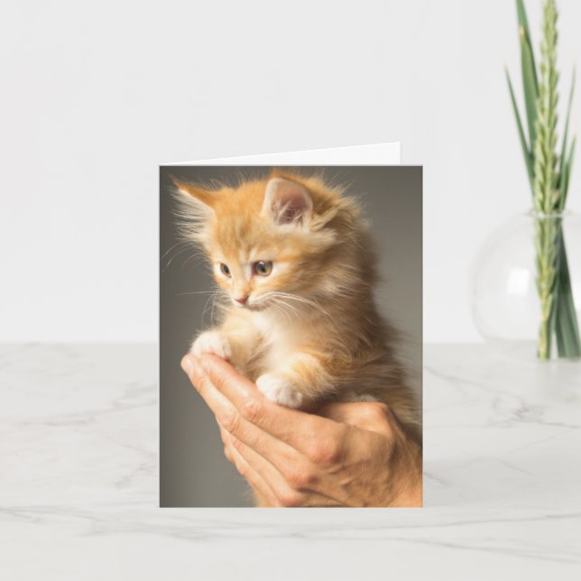 Thinking Of You Warm Fuzzy Kitten Cat Lover Card (Front)