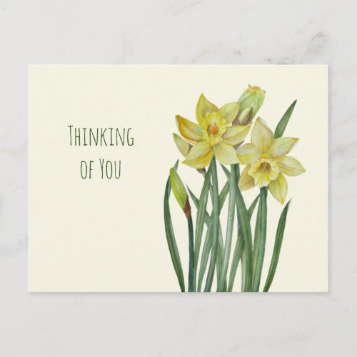 Thinking of You Watercolor Daffodils Illustration Postcard