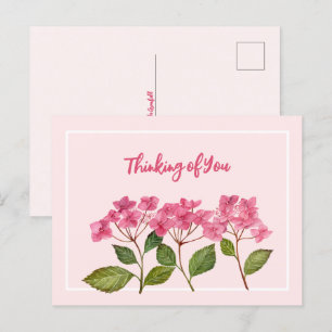 Thinking of You Watercolor Pink Hydrangea Lacecaps Holiday Postcard