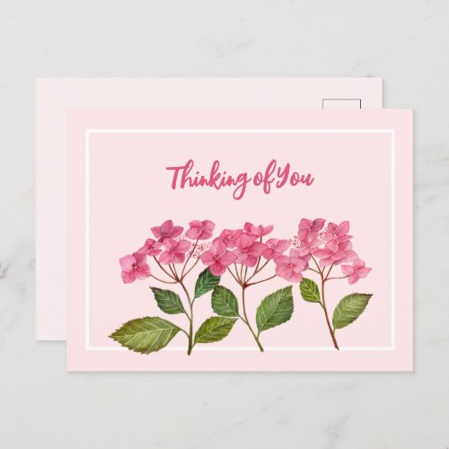 Thinking of You Watercolor Pink Hydrangea Lacecaps Holiday Postcard