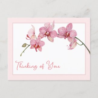 Thinking of You Watercolor Pink Moth Orchids