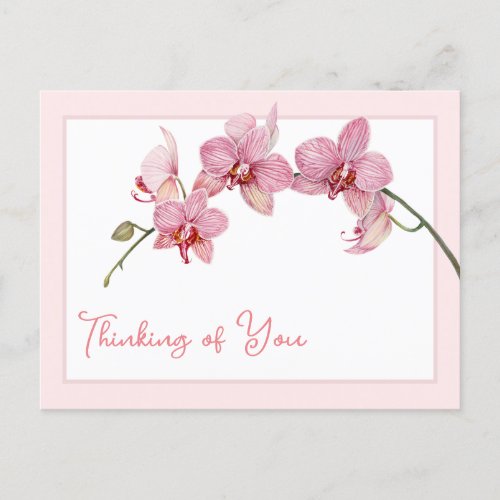 Thinking of You Watercolor Pink Moth Orchids Holiday Postcard