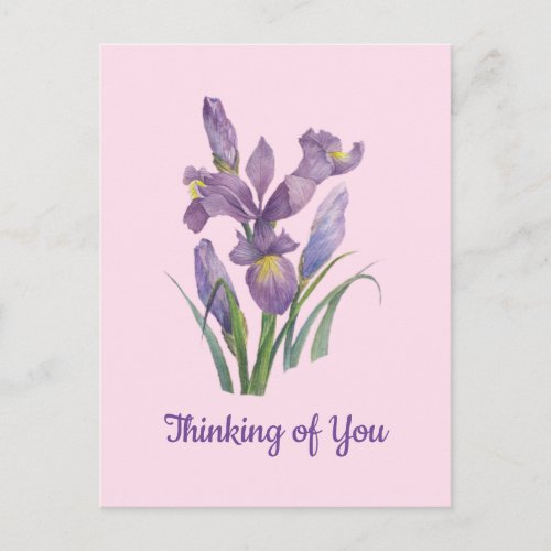 Thinking of You Watercolor Purple Iris Botanical Postcard