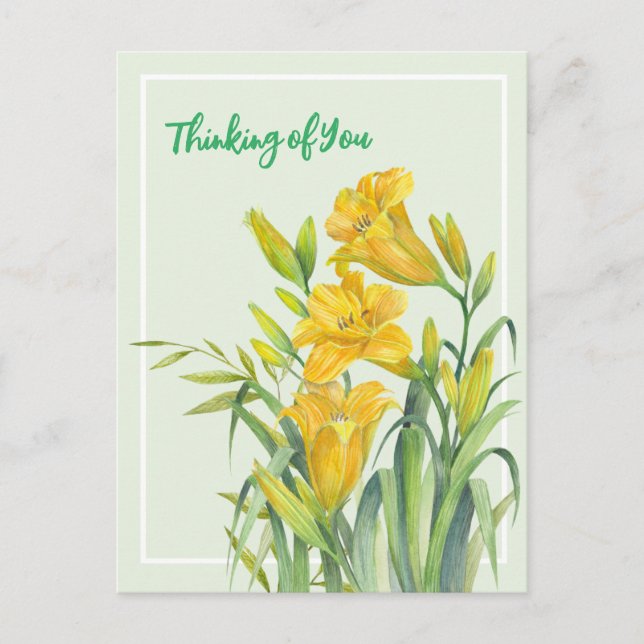 Thinking of You Watercolor Yellow Day Lilies Postcard (Front)