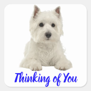 Thinking of You West Highland Terrier Puppy Dog Square Sticker