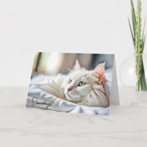 Thinking Of You White Cat In Bed Card