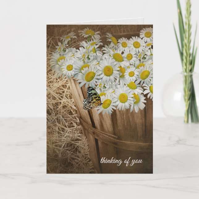 thinking of you-white daisies and butterfly card (Front)