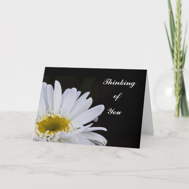 Thinking of You....White Daisy Card (Front)