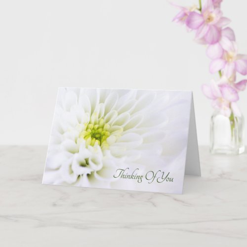 Thinking Of You White Flower Sympathy Card