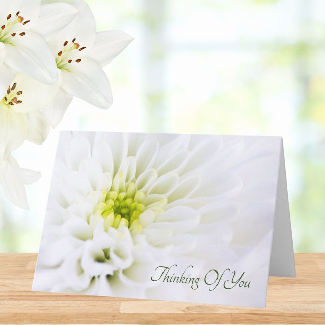 Thinking Of You White Flower Sympathy Card (Creator Uploaded)