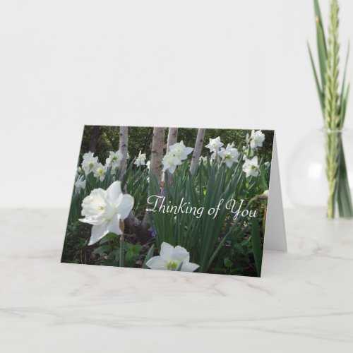 Thinking of You White Flowers Blank Inside Card