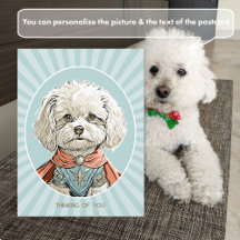 Thinking of You White Superhero Dog Postcard