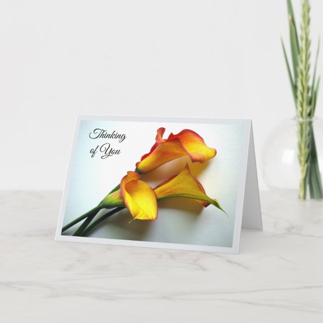 Thinking of You with Mango Colored Calla Lilies Card (Front)