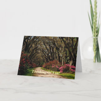 Thinking Of You! Zeus and Scenery Thinking Of You! Card