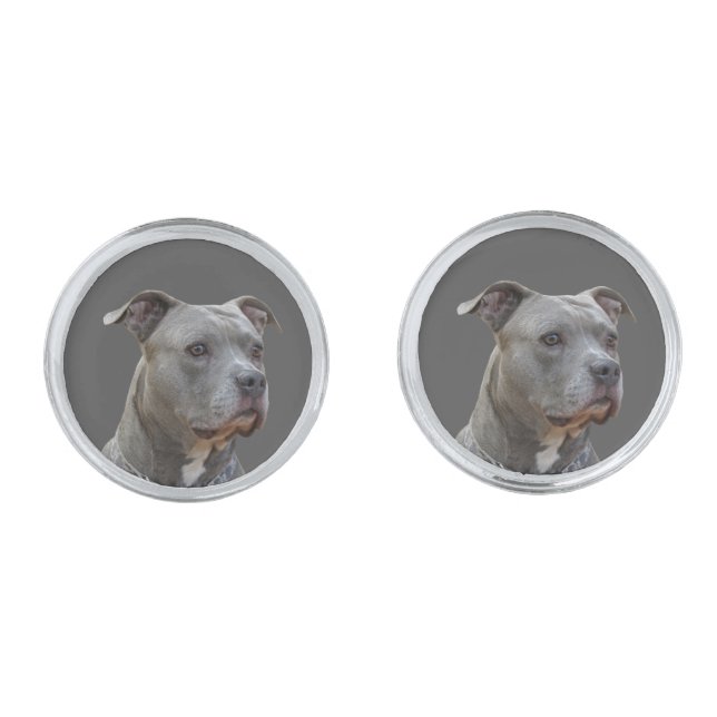 Thinking Pitbull Cufflinks (Front)