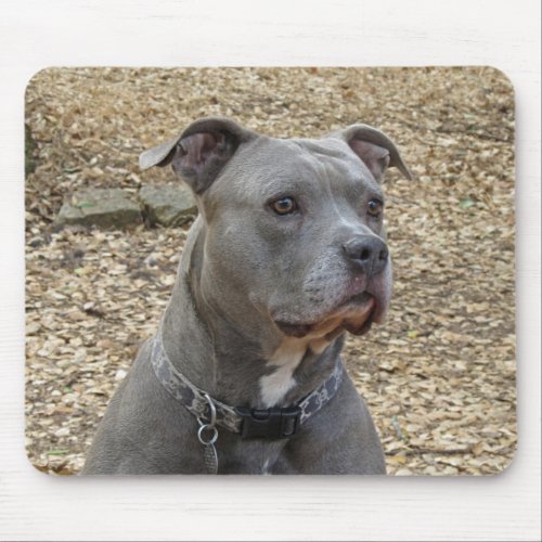 Thinking Pitbull Mousepad