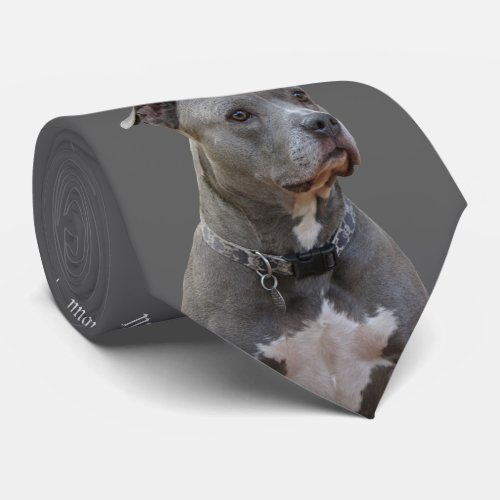 Thinking Pitbull Tie