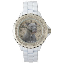 Thinking Pitbull Women's Numbered Watch