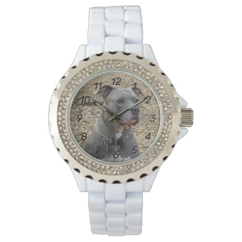 Thinking Pitbull Womens Numbered Watch