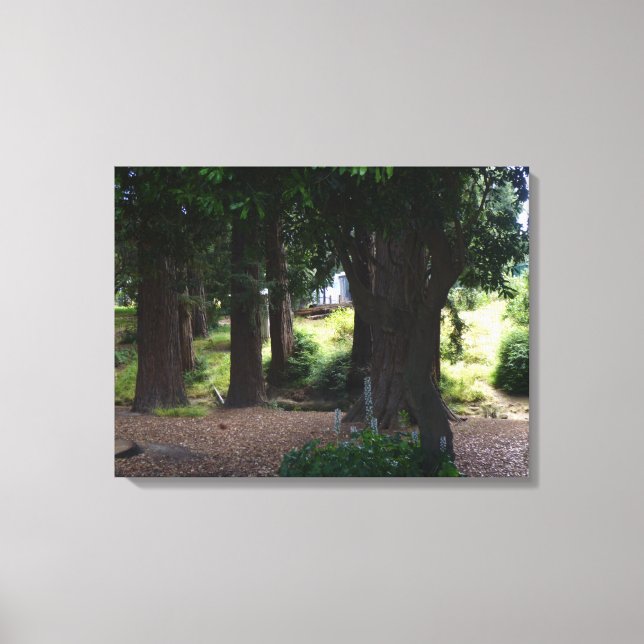 Thinking Place Canvas Print (Front)