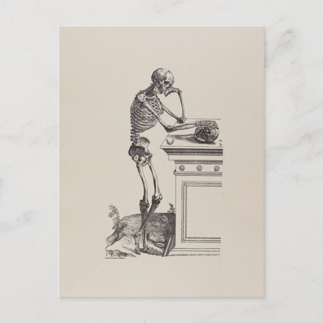 Thinking Skeleton Postcard (Front)