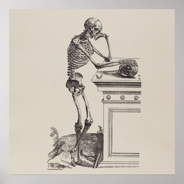 Thinking Skeleton Poster (Front)