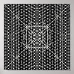 Third Dimension/Flower Of Life Sacred Geometry Poster