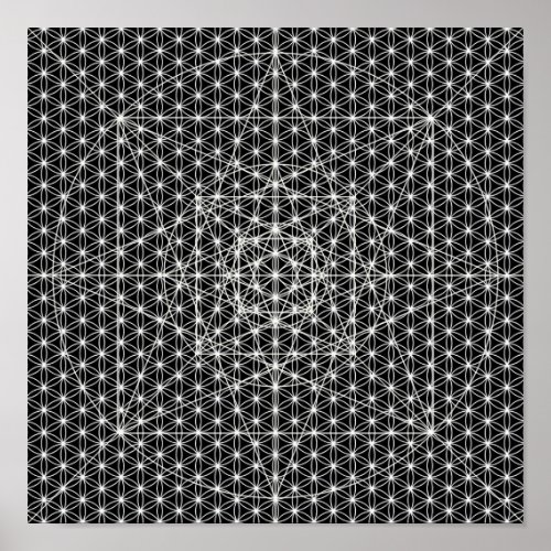 Third DimensionFlower Of Life Sacred Geometry Poster