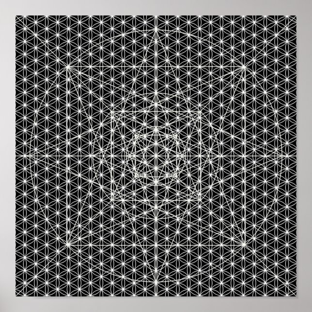 Third Dimension/Flower Of Life Sacred Geometry Poster (Front)