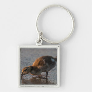 Thirsty Baby Keychain
