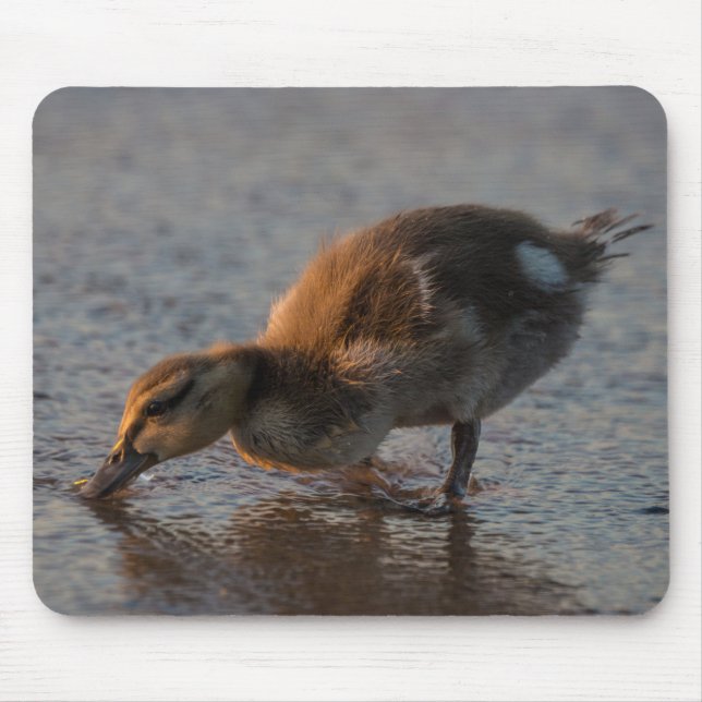 Thirsty Baby Mouse Pad (Front)