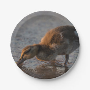 Thirsty Baby Paper Plates