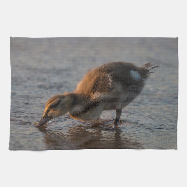 Thirsty Baby Towel (Horizontal)