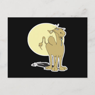 thirsty camel postcard