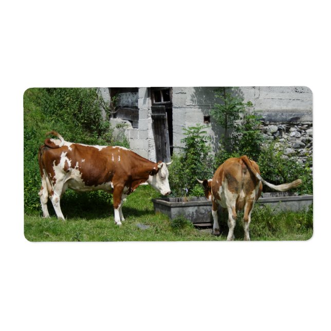 Thirsty Fleckvieh Label (Front)