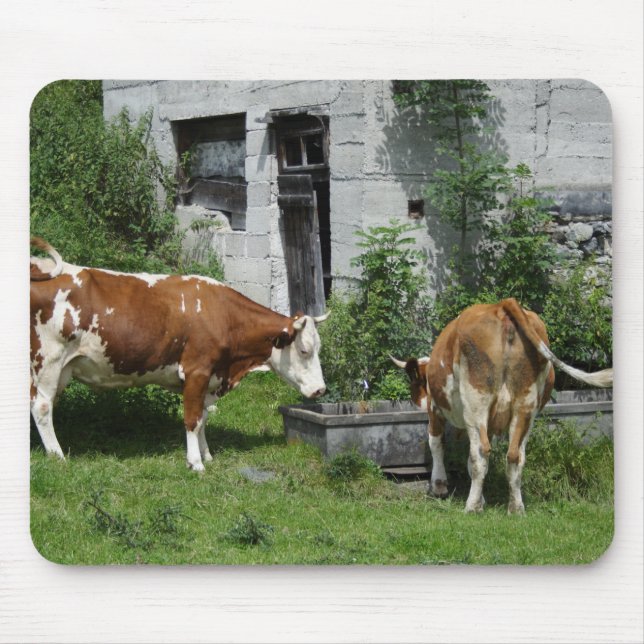 Thirsty Fleckvieh Mouse Pad (Front)