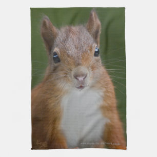 Thirsty Squirrel Kitchen Towel