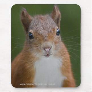 Thirsty Squirrel Mousemat Mouse Pad