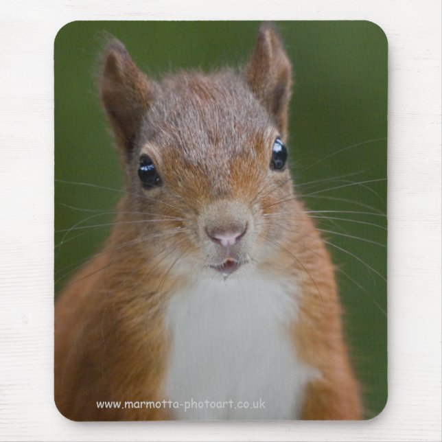Thirsty Squirrel Mousemat Mouse Pad (Front)