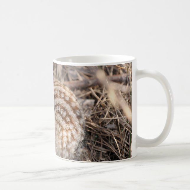 Thirteen Lined Ground squirrel Coffee Mug (Right)