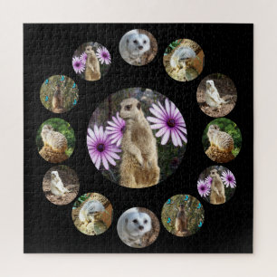 Thirteen Meerkats Surprise, Jigsaw Puzzle