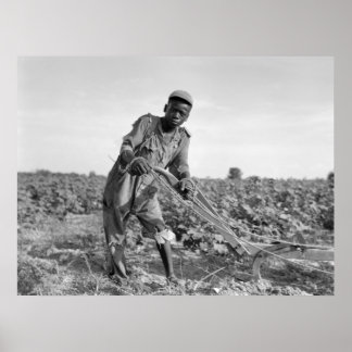 Thirteen-year old Plowing a Field in Georgia Poster