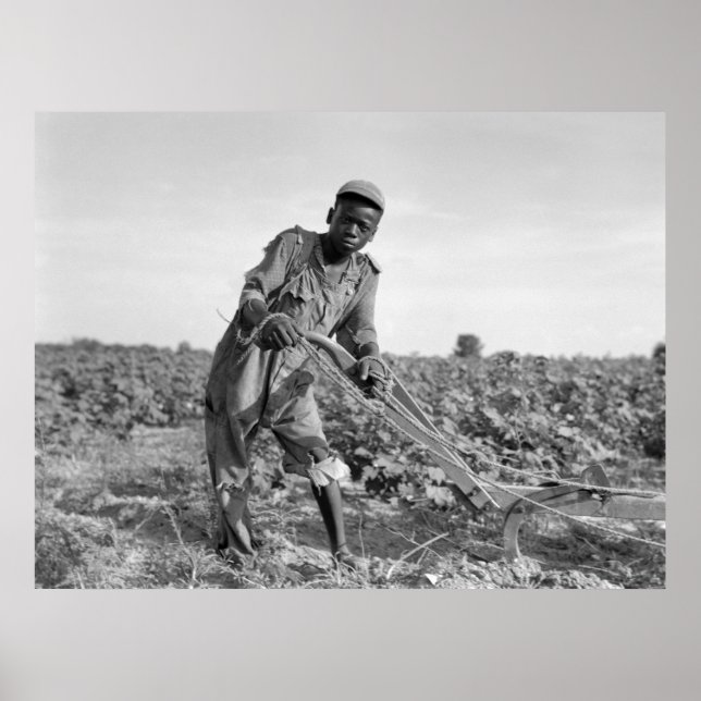 Thirteen-year old Plowing a Field in Georgia Poster (Front)