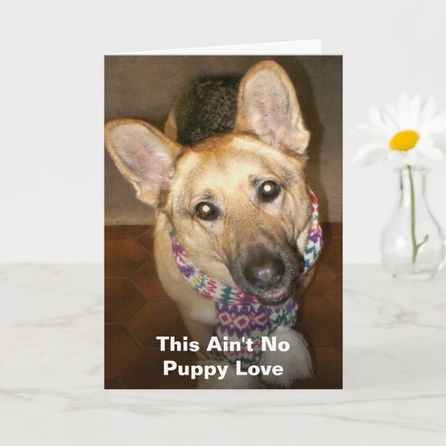 This Ain't No Puppy Love Happy Anniversary Card (Small Plant)