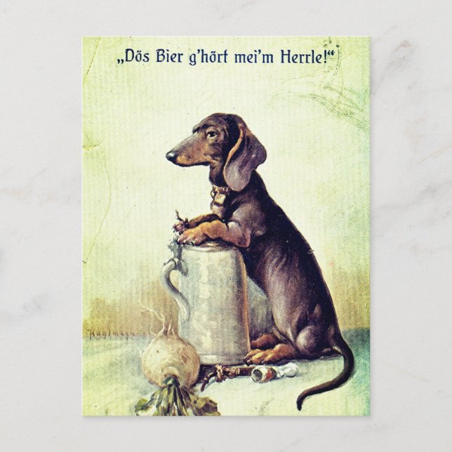 This beer belongs to my master! postcard (Front)