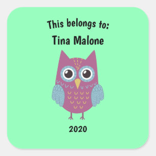 This Belongs to Back to School Purple Owl Green Square Sticker